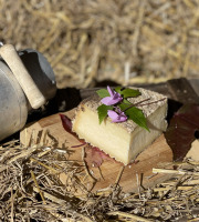 Fromagerie Maurice - 1/4 Tomme affinée au lait cru