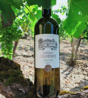 Château Jouvente - Le Blanc confidentiel de Jouvente - AOC Graves 2020 - 3 Bouteilles