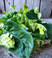 La Boite à Herbes - Mesclun Provençal - 100g