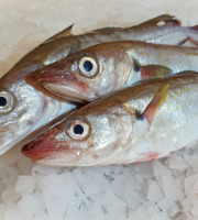 Le Panier à Poissons - Merlan Vidé Lot De 1,2kg - 3/500g Par Pièce