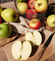 Le Verger de Crigne - Colis 4kg Panaché De Pommes Bio