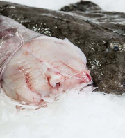 Ô'Poisson - Queue De Lotte - Pièce De 1kg/1,2kg - Sans Peau