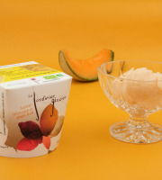 Le Jardinier Glacier - Sorbet Melon Charentais - 550ml