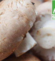 Mon Petit Producteur - Champignon De Paris Brun - 250g