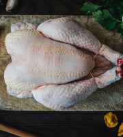 Maison BAYLE   -                                                                                                                                       Champions du Monde de boucherie 2016 - Poulet Fermier - 2.100 kg