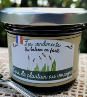 Le Balcon en Forêt - Epis de plantain au vinaigre