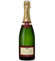 Champagne Stéphane Fir - Champagne Brut - 3 X 75 Cl