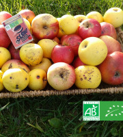 Les Jardins de Karine - POMMES "visitées"-en mélange-5kg