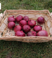 Au bon Jardinet - Oignons Rouges Karmen X 1kg