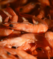 Thalassa Tradition - Crevettes roses 500g