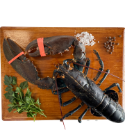 Luximer - Homard Breton Vivant - 500g