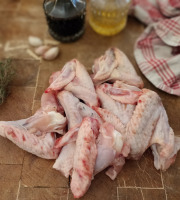 EARL Plumes et Laines - Ailes de Poulet Fermières - 1kg