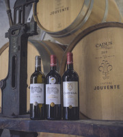 Château Jouvente - Le Trio Prestigieux - 3 Bouteilles