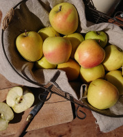 Le Verger de Crigne - Colis 4kg Pommes Golden Bio