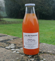 Domaine Fourmond Lemorton - Jus de Pomme BIO