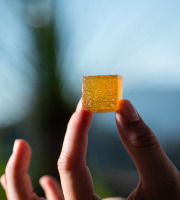 La Maison du Citron - Pâtes de fruits au Citron de Menton