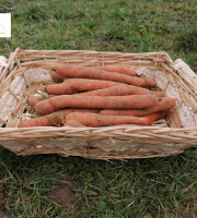 Au bon Jardinet - Carottes Un Goût Prononcé Et Délicieux 3kg