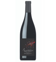 Domaine Bailly Jean-Pierre - Coteaux du Giennois Rouge Montour