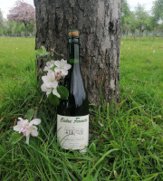 Domaine Fourmond Lemorton - Cidre Fermier Demi-Sec BIO