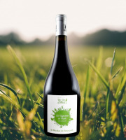 Domaine de la Perrée - AOP Saint-Nicolas-de-Bourgueil Vin Rouge - Cuvée Vignerons en Herbe 2021