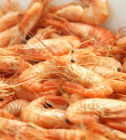 Ô'Poisson - Crevettes Roses De Pays Cuites (petites) - Lot De 500g