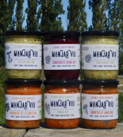 Manjar Viu : Légumes lacto fermentés - Lot de 6 pots de 400g de Légumes Bio - lacto-fermentés