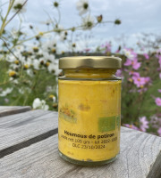 Ferme Sinsac - Houmous de potiron