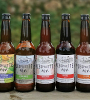 Bipil Aguerria - Pack de 6 bières artisanales de 33cl " Pack découverte "