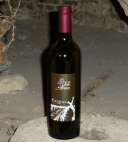 Domaine Folle Avoine - Vin Rouge Bio - Carignan 2020