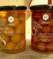 Monsieur Appert - Lot Mirabelle - Griottes de Montmorency en sirop