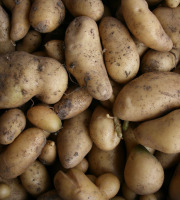 Le Jardin des Gallines - Pomme De Terre (amandine), 1 Kg