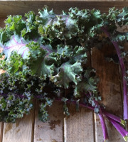 Ferme du Mont de Cuy - Chou Kale