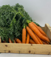 Le Panier du Producteur - Botte de Carottes "fane"