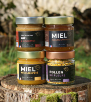 Merveille Apiculture - Coffret Miel - Noisettes -pollen