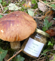 Terres En Vie - Champignon Bio - Bolet Orangé Des Chênes En Poudre