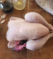 EARL Plumes et Laines - Poulet Fermier Cou Nu 1,650 kg