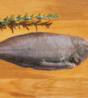 Côté Fish - Mon poisson direct pêcheurs - Sole