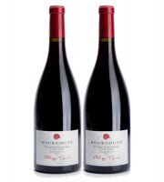 Domaine Tupinier Philippe - Bourgogne Côte D'Auxerre Rouge 2016  - 2 Bouteilles De 75 Cl