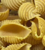 L'Atelier à Pâtes - Pâtes Conchiglie Rigate Au Curry De Madras Bio