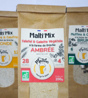 Maltivor - Malti’Mix pour Falafel & Galette Végétale - 200 g