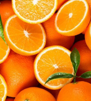 Le jardin de Staging - Oranges Bio