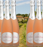 Château Saint Estève d'Uchaux - VIN DE FÊTES   - Brut Rosé BIO Méthode Traditionnelle x6