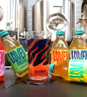 Brasserie L'Indispensable LOVEN Kombucha - Kombucha Fanatic LOVEN Pack - 6x33cl + 1 verre