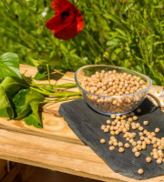 Sa Majesté la Graine - Pois chiches du Berry HVE - sac 5 Kg