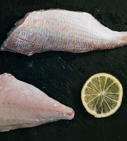 Côté Fish - Mon poisson direct pêcheurs - Filets De Pageot 300g