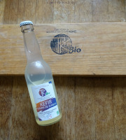 TK Bio - The Kefir et Kombucha Compagnie - Kéfir Fleurs de Sureau BIO - 12x33cl