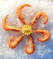 Camargue Coquillages - Crevettes Cuites au sel de Camargue