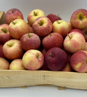 Le Panier du Producteur - Pommes "Gala"