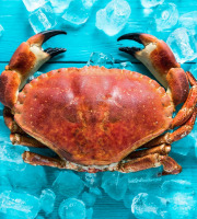 La Paysanne des Mers - Tourteaux vivants - 1kg