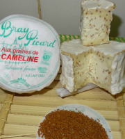 Fromagerie de la Chapelle Saint Jean - Bray Aux Graines De Cameline